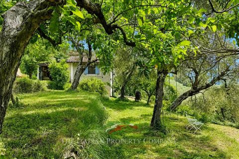 Villa a Pigna, Imperia, Pigna - € 390.000 | Ref: D429 - foto 8