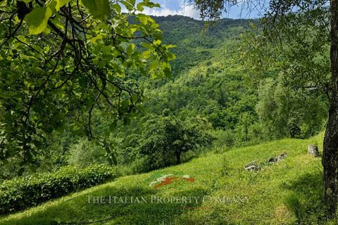 Villa a Pigna, Imperia, Pigna - € 390.000 | Ref: D429 - foto 22