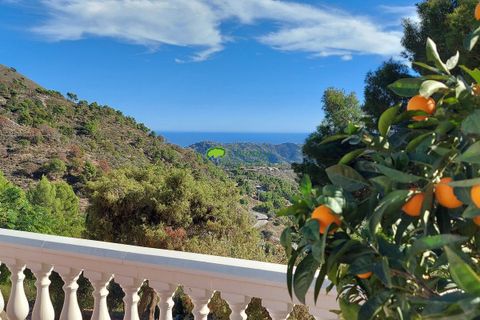 Landejendom i Competa, Malaga, Competa - € 429.000 | Ref: 8002 - foto 38
