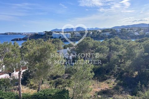 Helårsgrund i San Carlos De Peralta, Ibiza - foto 1