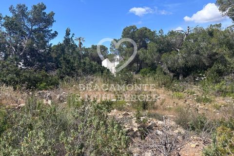 Helårsgrund i San Carlos De Peralta, Ibiza - foto 2