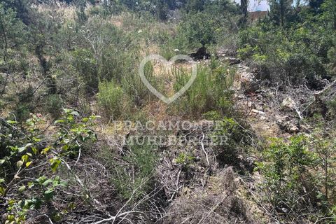 Helårsgrund i San Carlos De Peralta, Ibiza - foto 3