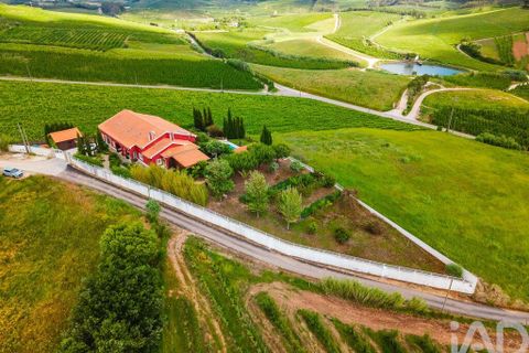 Byhus i Cadaval, Lisbon, Cadaval - € 490.000 | Ref: 919710 - foto 40