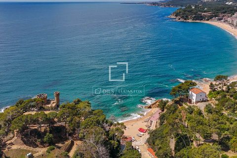 Villa i Lloret De Mar, Gerona, Lloret De Mar - € 2.990.000 | Ref: CBR68948 - foto 50