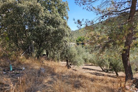 Landejendom i Granada, Granada, Granada - € 240.000 | Ref: 860034 - foto 29