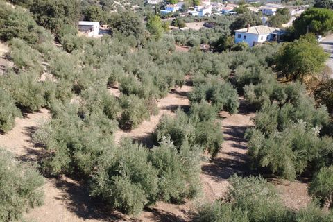 Landejendom i Granada, Granada, Granada - € 240.000 | Ref: 860034 - foto 31