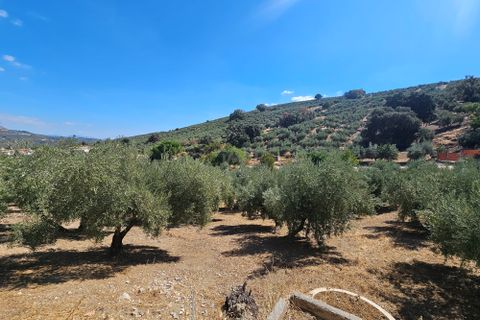 Landejendom i Granada, Granada, Granada - € 240.000 | Ref: 860034 - foto 35