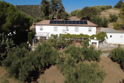 Landejendom i Granada, Granada, Granada - € 240.000 | Ref: 860034 - foto 36