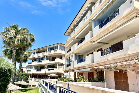 Leilighet i La Mata, Alicante, La Mata - € 240 000 | Ref: MCO-52923 - foto 31