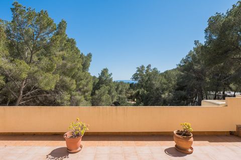 Villa a Roca Llisa, Ibiza, Roca Llisa - € 3.900.000 | Ref: 339 - foto 3