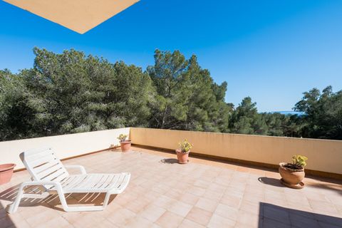 Villa a Roca Llisa, Ibiza, Roca Llisa - € 3.900.000 | Ref: 339 - foto 18