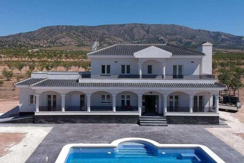 Villa i Pinoso, Alicante, Pinoso - € 547.000 | Ref: DMHL6010 - foto 13
