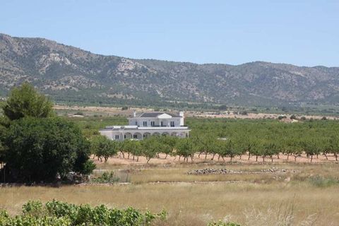 Villa i Pinoso, Alicante, Pinoso - € 547.000 | Ref: DMHL6010 - foto 16