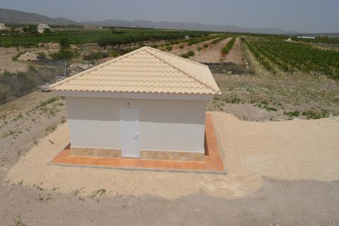 Villa a Pinoso, Alicante, Pinoso - € 505.000 | Ref: DMHL6009 - foto 43