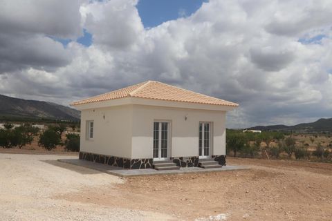 Villa a Pinoso, Alicante, Pinoso - € 423.000 | Ref: DMHL6006 - foto 36
