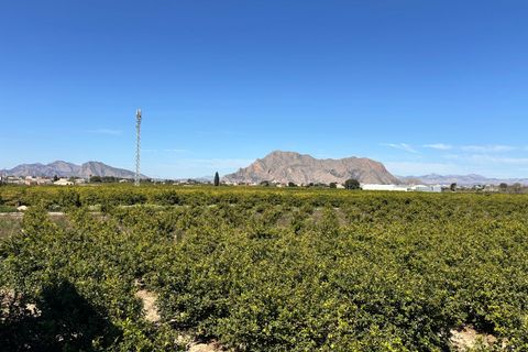 Leilighet i Benejuzar, Alicante, Benejuzar - € 99 999 | Ref: BC402 - foto 12