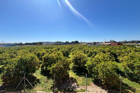 Leilighet i Benejuzar, Alicante, Benejuzar - € 99 999 | Ref: BC402 - foto 13