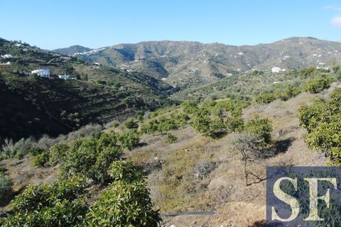 Villa i Competa, Malaga, Competa - € 470.000 | Ref: CV276 - foto 11