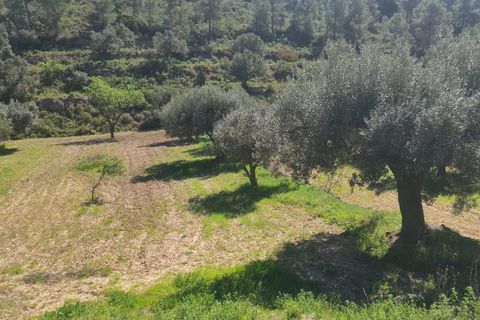Landejendom i Flix, Tarragona, Flix - € 37.500 | Ref: L1016F - foto 9