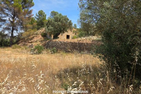 Landejendom i Flix, Tarragona, Flix - € 37.500 | Ref: L1016F - foto 16