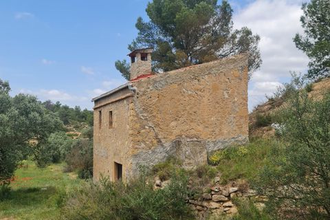 Landejendom i Flix, Tarragona, Flix - € 37.500 | Ref: L1016F - foto 2