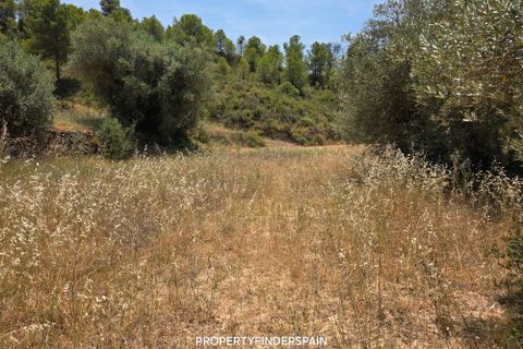 Landejendom i Flix, Tarragona, Flix - € 37.500 | Ref: L1016F - foto 21