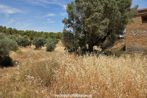 Landejendom i Flix, Tarragona, Flix - € 37.500 | Ref: L1016F - foto 13