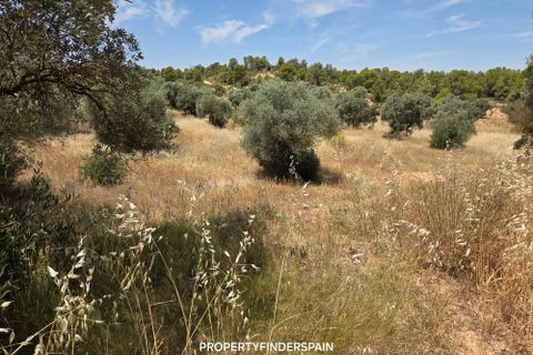 Landejendom i Flix, Tarragona, Flix - € 37.500 | Ref: L1016F - foto 12