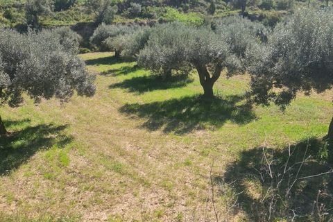 Landejendom i Flix, Tarragona, Flix - € 37.500 | Ref: L1016F - foto 8