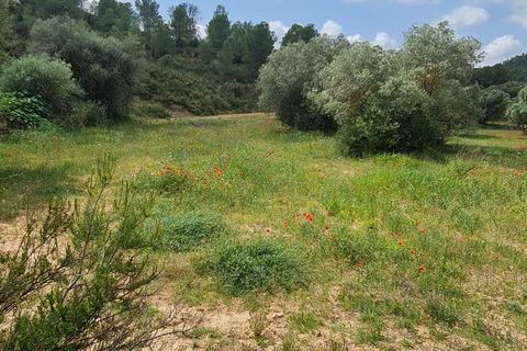 Landejendom i Flix, Tarragona, Flix - € 37.500 | Ref: L1016F - foto 7