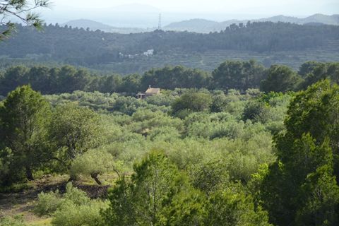 Landejendom i El Perello, Tarragona, El Perello - € 139.000 | Ref: Per1418nic - foto 22
