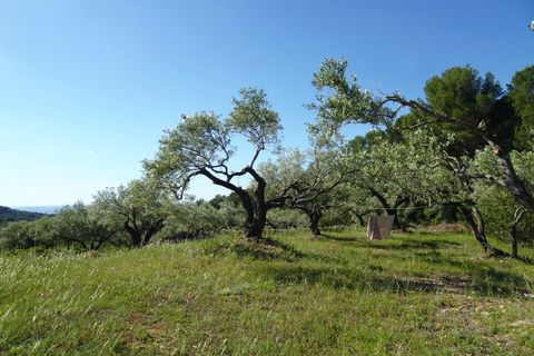 Landejendom i El Perello, Tarragona, El Perello - € 139.000 | Ref: Per1418nic - foto 23