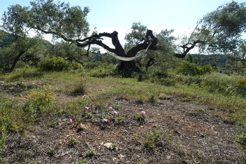 Landejendom i El Perello, Tarragona, El Perello - € 139.000 | Ref: Per1418nic - foto 21