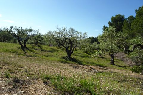 Landejendom i El Perello, Tarragona, El Perello - € 139.000 | Ref: Per1418nic - foto 24