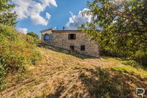 Masia a Arcidosso, Grosseto, Arcidosso - € 331.340 | Ref: R06551ARRU - foto 10