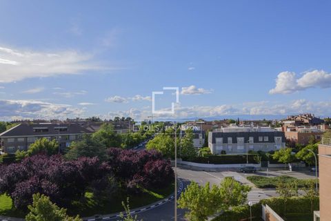 Lejlighed i Madrid, Madrid, Madrid - € 1.850.000 | Ref: POZ69553 - foto 42