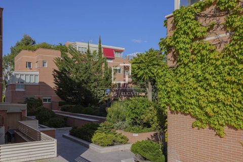 Lejlighed i Madrid, Madrid, Madrid - € 1.850.000 | Ref: POZ69553 - foto 47