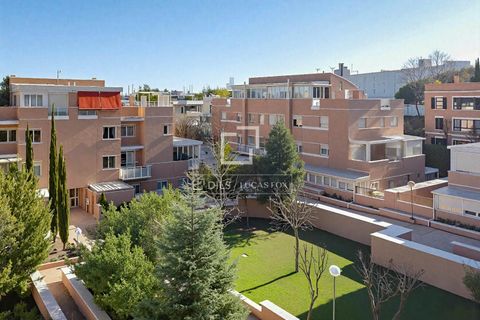 Lejlighed i Madrid, Madrid, Madrid - € 1.850.000 | Ref: POZ69553 - foto 50