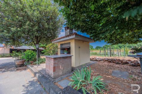 Landejendom i Altopascio, Lucca, Altopascio - € 500.000 | Ref: R06484ALRU - foto 9