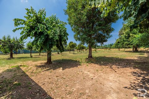 Landejendom i Altopascio, Lucca, Altopascio - € 500.000 | Ref: R06484ALRU - foto 13