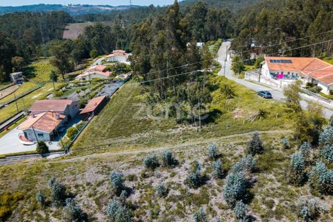 Terra a Sobreira, Porto, Sobreira - € 99.000 | Ref: ZMPT587665 - foto 10