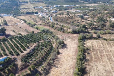 Helårsgrund i Silves, Faro, Silves - € 80.000 | Ref: ZMPT581597 - foto 14