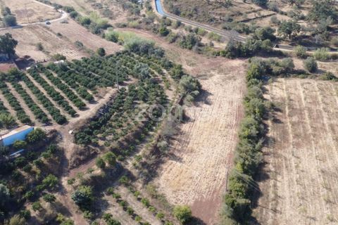 Helårsgrund i Silves, Faro, Silves - € 80.000 | Ref: ZMPT581597 - foto 3