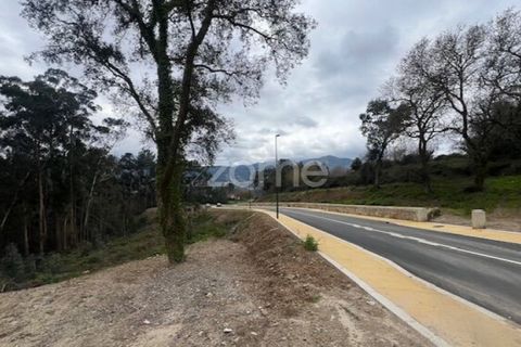 Helårsgrund i Ponte de Lima, Viana do Castelo, Ponte de Lima - € 145.500 | Ref: ZMPT588107 - foto 3