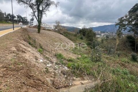 Helårsgrund i Ponte de Lima, Viana do Castelo, Ponte de Lima - € 145.500 | Ref: ZMPT588107 - foto 6