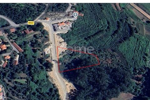 Helårsgrund i Ponte de Lima, Viana do Castelo, Ponte de Lima - € 145.500 | Ref: ZMPT588107 - foto 9