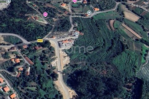 Helårsgrund i Ponte de Lima, Viana do Castelo, Ponte de Lima - € 145.500 | Ref: ZMPT588107 - foto 8