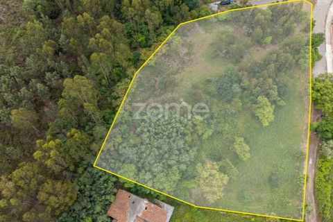 Helårsgrund i Valongo, Porto, Valongo - € 450.000 | Ref: ZMPT588883 - foto 2