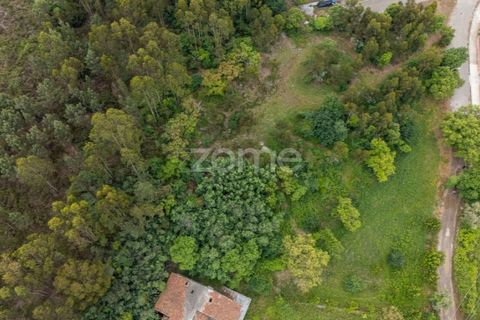 Helårsgrund i Valongo, Porto, Valongo - € 450.000 | Ref: ZMPT588883 - foto 4