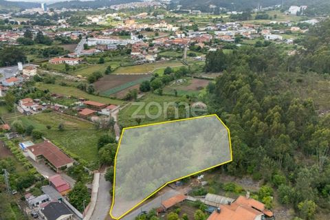 Helårsgrund i Valongo, Porto, Valongo - € 450.000 | Ref: ZMPT588883 - foto 10